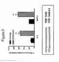 Fig. 07 - OLIGONUCLEOTIDES AFFECTING EXPRESSION OF PHOSPHODIESTERASES