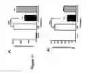 Fig. 13 - OLIGONUCLEOTIDES AFFECTING EXPRESSION OF PHOSPHODIESTERASES