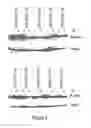Fig. 06 - Compounds for the modulation of beta-catenin expression