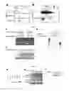 Fig. 05 - GENERATION OF HYPERSTABLE mRNAs