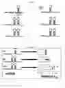 Fig. 07 - GENERATION OF HYPERSTABLE mRNAs