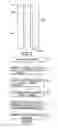 Fig. 02 - REINFORCED ELASTOMERS