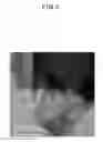 Fig. 04 - BORON NITRIDE NANOSHEET, METHOD FOR PRODUCING BORON NITRIDE NANOSHEET THEREOF AND COMPOSITION CONTAINING BORON NITRIDE NANOSHEET THEREOF