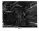 Fig. 07 - Method for functionalizing nanotubes and improved polymer-nanotube composites formed using same