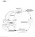 Fig. 02 - HLA-binding peptide, precursor thereof, and DNA fragment and recombinant vector coding for said HLA-binding peptide