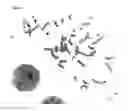 Fig. 07 - DNA sequence encoding a retinoic acid regulated protein
