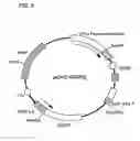 Fig. 09 - Cytokine-Like Proteins