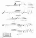 Fig. 08 - ANTI-ANGIOGENIC COMPOUNDS