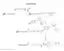 Fig. 29 - ANTI-ANGIOGENIC COMPOUNDS