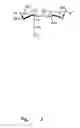Fig. 04 - NUCLEIC ACID MOLECULES CODING FOR A PROTEIN WITH DEACETYLASE ACTIVITY, SAID PROTEIN, AND METHOD FOR THE PRODUCTION OF CHITOSAN