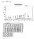 Fig. 02 - Process for the manufacture of oligonucleotides