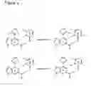 Fig. 05 - Nucleoside and nucleotide having an unnatural base and use thereof