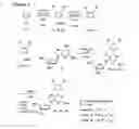 Fig. 06 - Nucleoside and nucleotide having an unnatural base and use thereof