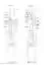 Fig. 30 - Lancing devices having lancet ejection assembly