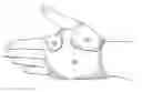 Fig. 01 - Short stretch therapeutic compression device for the extremity and method