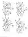 Fig. 02 - Transdermal systems for the delivery of therapeutic agents including granisetron using iontophoresis
