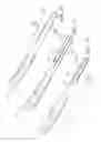 Fig. 07 - Orthopaedic plate and fastener assembly