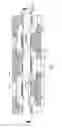 Fig. 06 - DEVICE FOR DYNAMIC STABILIZATION OF BONES OR BONE FRAGMENTS