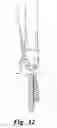 Fig. 09 - FUSION IMPLANTS AND SYSTEMS FOR POSTERIOR LATERAL PROCEDURES