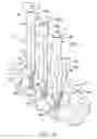 Fig. 09 - Deformable device for minimally invasive fixation