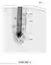 Fig. 07 - Co-electrodeposited hydrogel-conducting polymer electrodes for biomedical applications