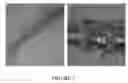 Fig. 11 - Co-electrodeposited hydrogel-conducting polymer electrodes for biomedical applications