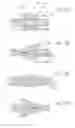 Fig. 147 - Apparatus for controlling flow in a bodily organ