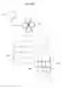 Fig. 161 - Apparatus for controlling flow in a bodily organ