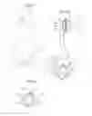 Fig. 45 - Apparatus for controlling flow in a bodily organ