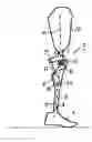 Fig. 01 - Method for controlling an orthopedic knee joint