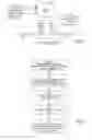 Fig. 05 - Torque vectoring device and means for its control