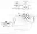Fig. 01 - TOW BRAKE