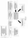 Fig. 06 - System for real time continuous data processing for investment portfolios