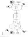 Fig. 02 - APPARATUSES, METHODS AND SYSTEMS FOR A TRUNCATED POSTAL CODE SMART ADDRESS PARSER