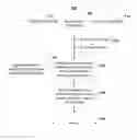 Fig. 01 - Hierarchical representation of time-related profiles