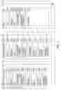 Fig. 02 - Automated rapid registration of applications