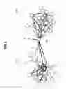 Fig. 07 - Contents' relationship visualizing apparatus, contents' relationship visualizing method and its program