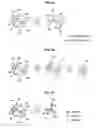 Fig. 08 - Contents' relationship visualizing apparatus, contents' relationship visualizing method and its program