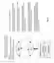 Fig. 05 - Firewall+ storage apparatus, method and system
