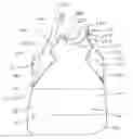 Fig. 01 - Fabric Article Having a Side Fold Non-Gathering Feature