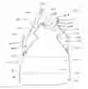 Fig. 02 - Fabric Article Having a Side Fold Non-Gathering Feature