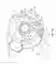 Fig. 31 - Surface treating appliance