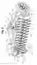 Fig. 03 - ROTARY RAKING OR SWEEPING IMPLEMENT
