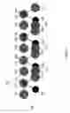 Fig. 07 - METHOD AND SYSTEM FOR PRINTING BY CAPILLARY EMBOSSING