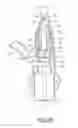 Fig. 07 - Nasal delivery devices