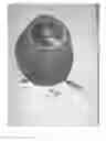 Fig. 06 - PHOTOVOLTAIC DEVICE