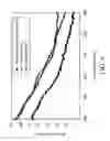 Fig. 07 - Solar cell device