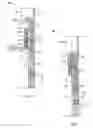 Fig. 03 - FLAPPER VALVE AND METHOD