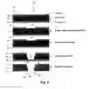 Fig. 04 - Method of manufacturing a gas electron multiplier