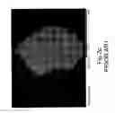 Fig. 06 - Granules, tablets and granulation